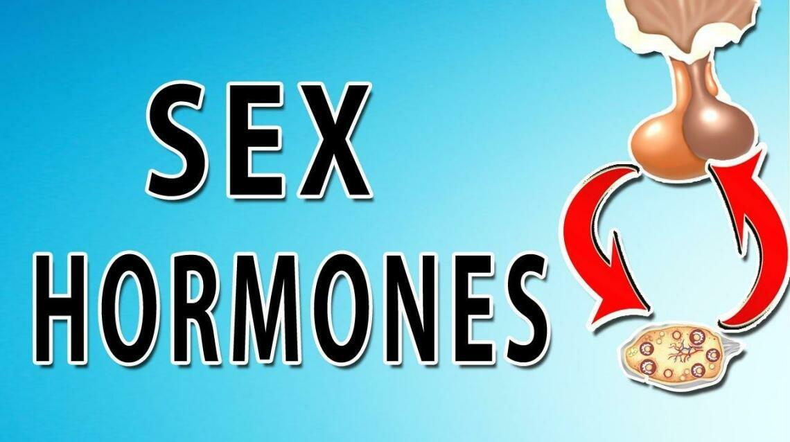 Hormones Involved In Sex
