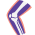 Knee Replacement