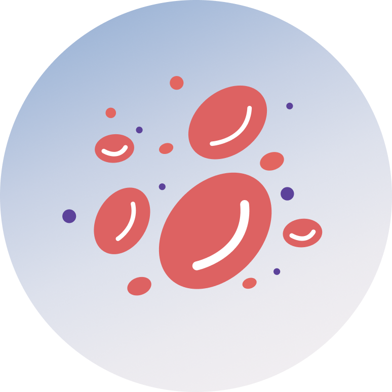 Anemia and Iron Deficiency Screening