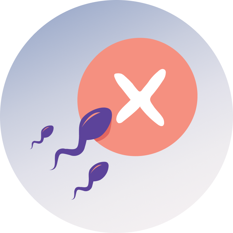 Infertility Evaluation / Treatment