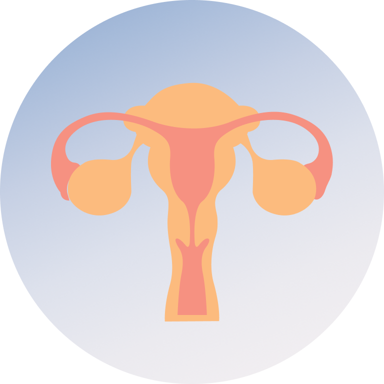 Perimenopause