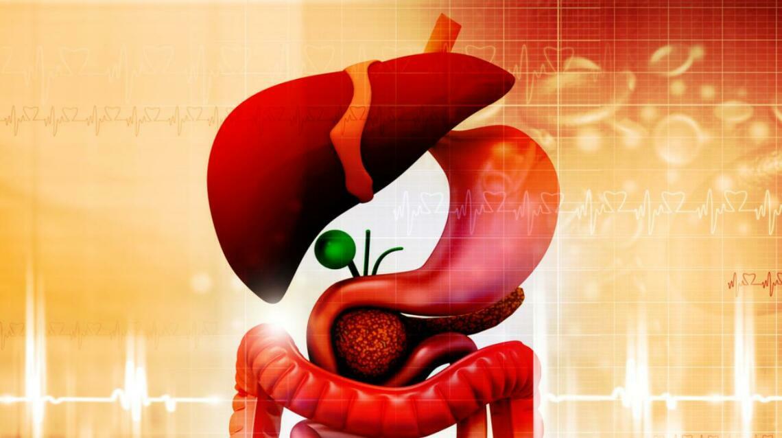 Smart Knowledge to Protect Your Liver.