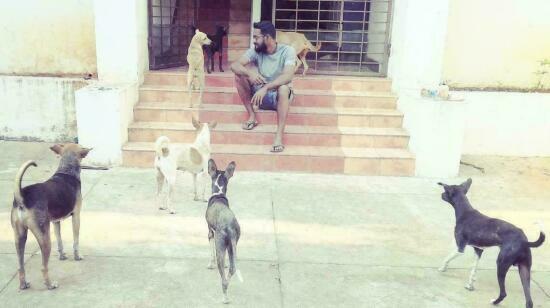 A Beginner's Guide to Canine Body Language