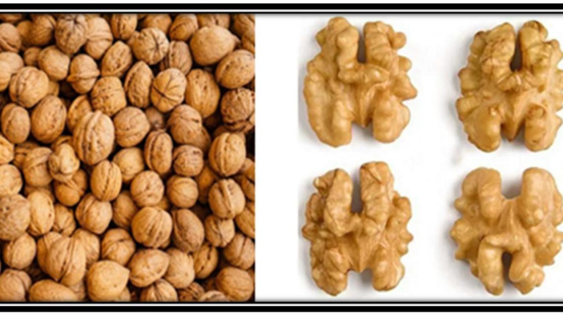 Nuts Improves Sperm Count