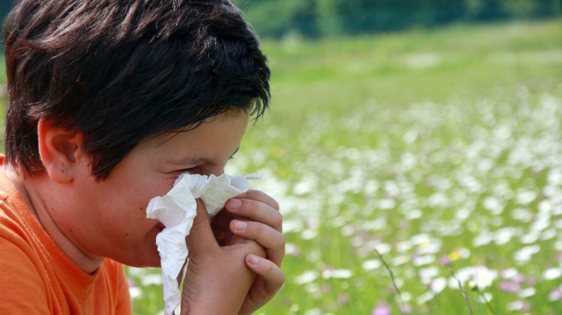 Allergic Rhinitis (Nasal Allergies): A Patient's Guide to Relief