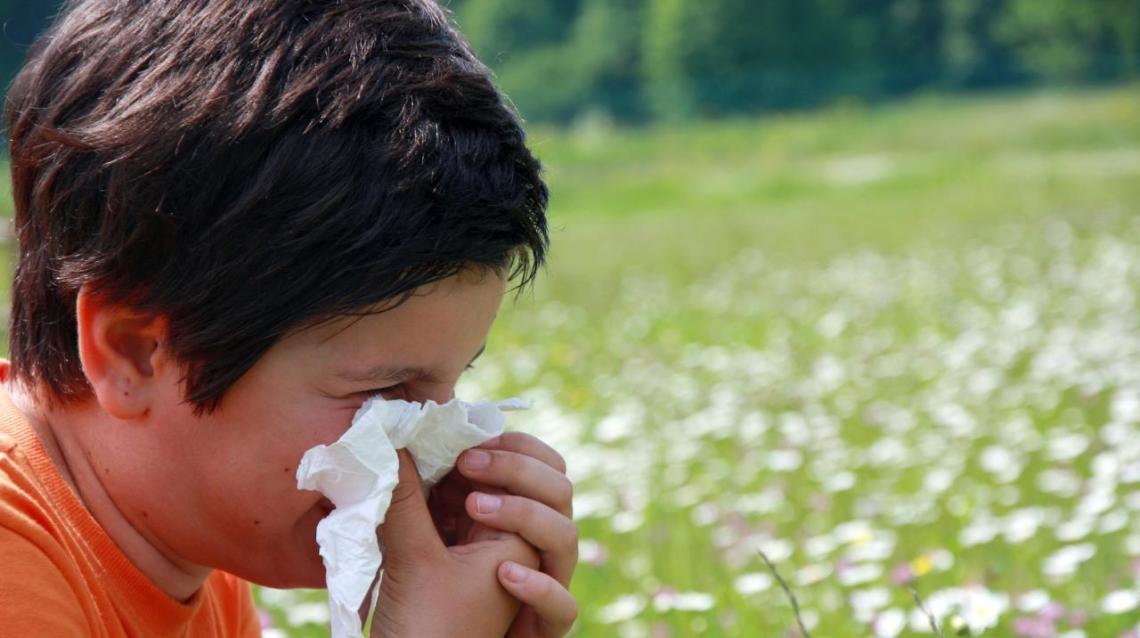 Homeopathy for Child Health & Immunity Development