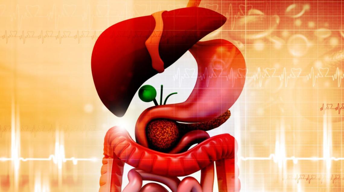 5 Tips for Fatty Liver