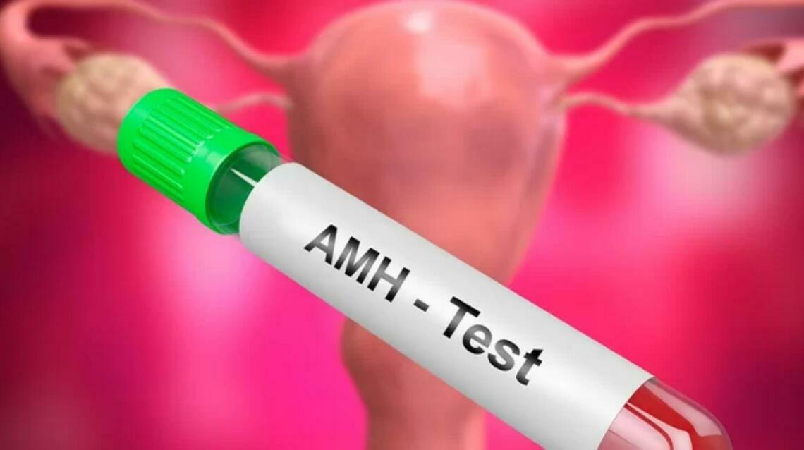 What Is the AntiMullerian Hormone (Amh)?
