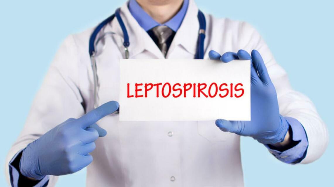Leptospirosis FAQs And Answers