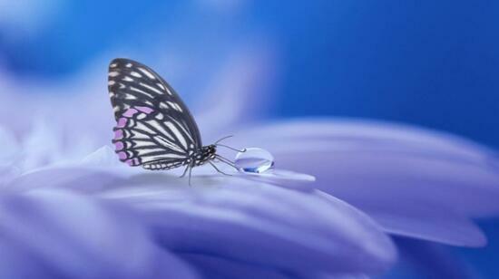 Sexual Fantasies: Understanding Them in a Healthy Way