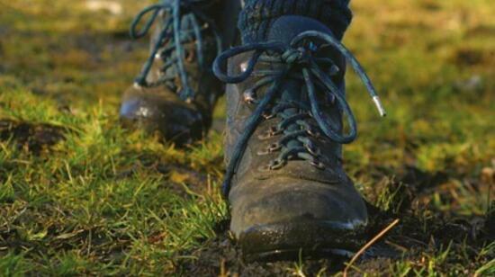 Leptospirosis During the Rains: What You Should Know