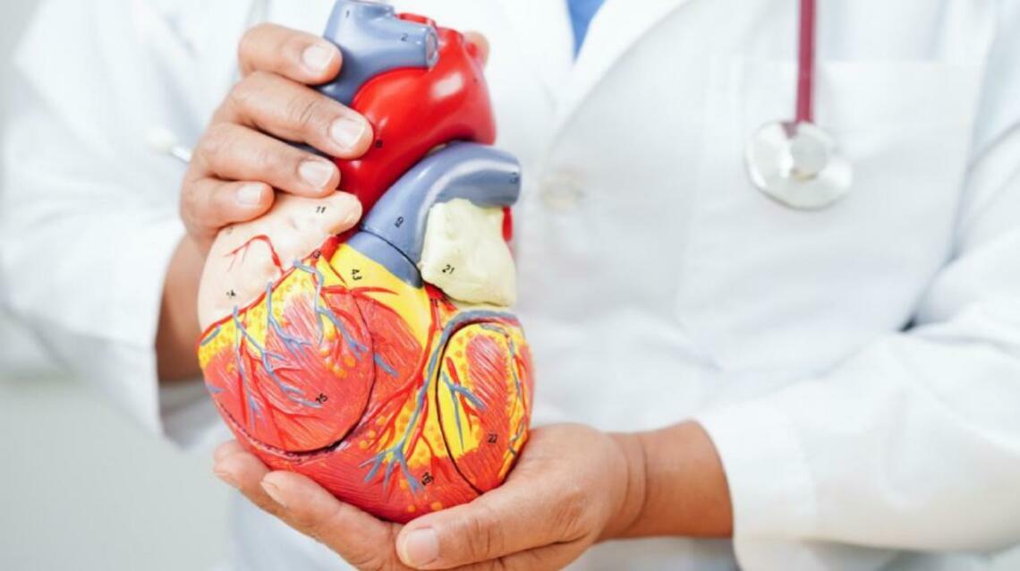 How to Manage Cardiophobia: Expert Advice From Dr. Kartik Bhosale