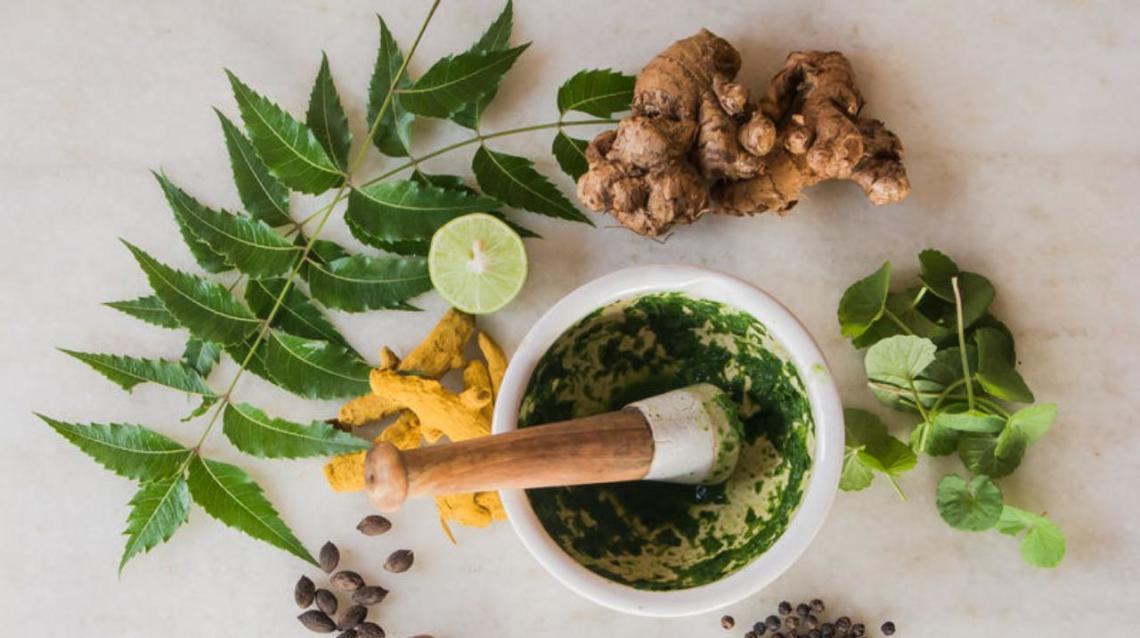 5 Ayurvedic Herbs to Boost Your Child's Immunity