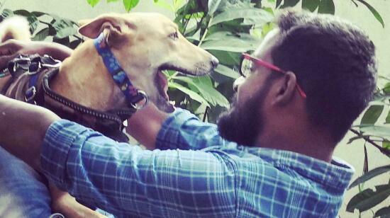 Decoding Your Dog's Strangest Habits