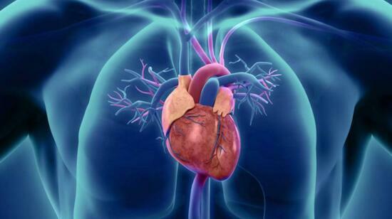 Coronary Artery Disease: Symptoms and Causes