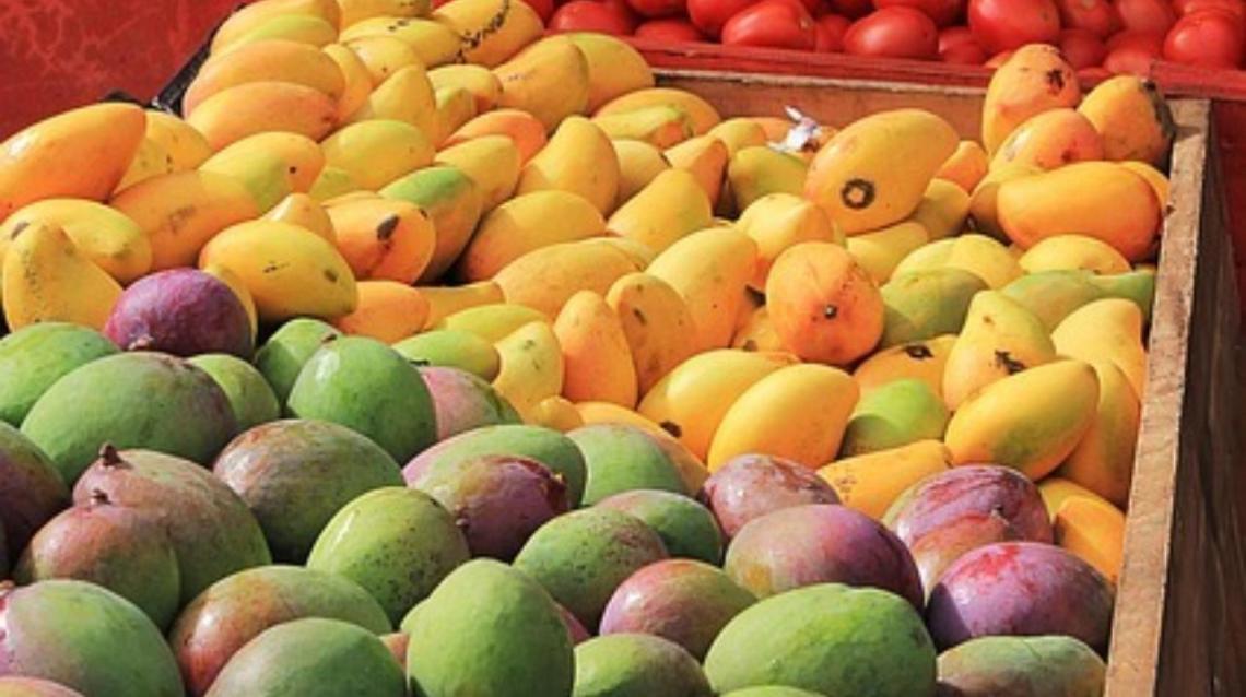 Do Mangoes Make Us Fat/ Are They Safe for Diabetics??