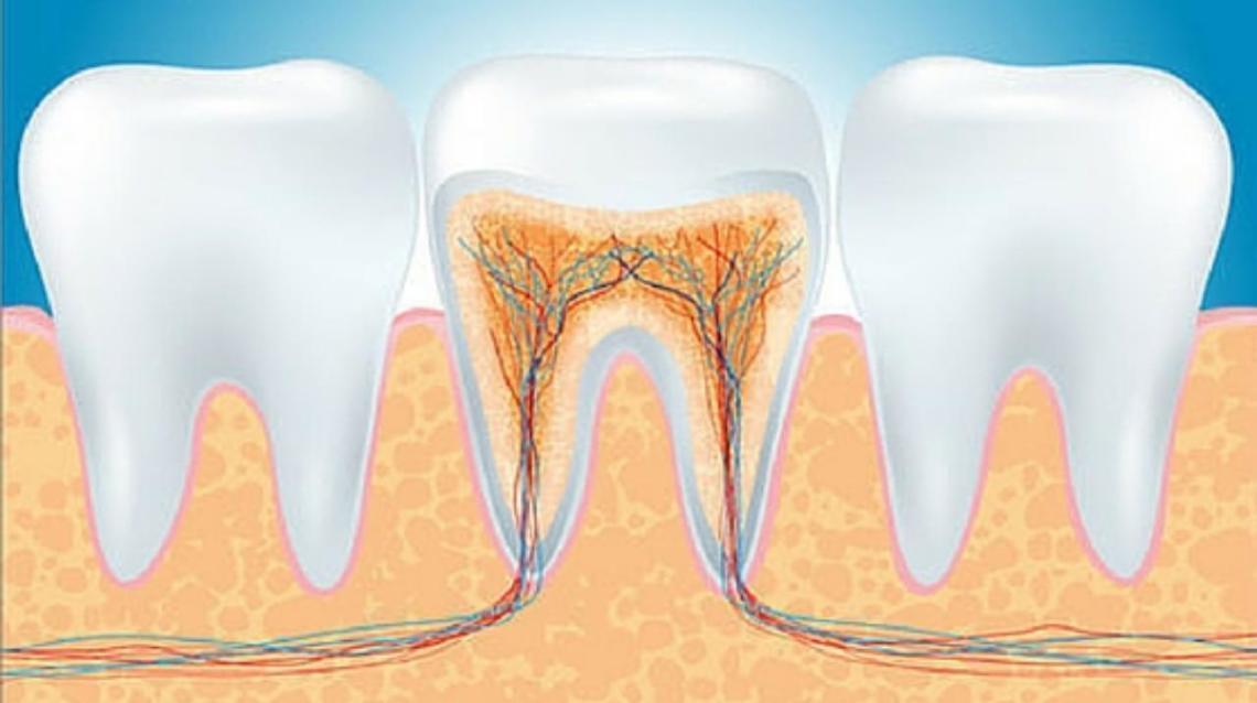 Can a Root Canal Actually Be Painless? Shocking Facts Revealed