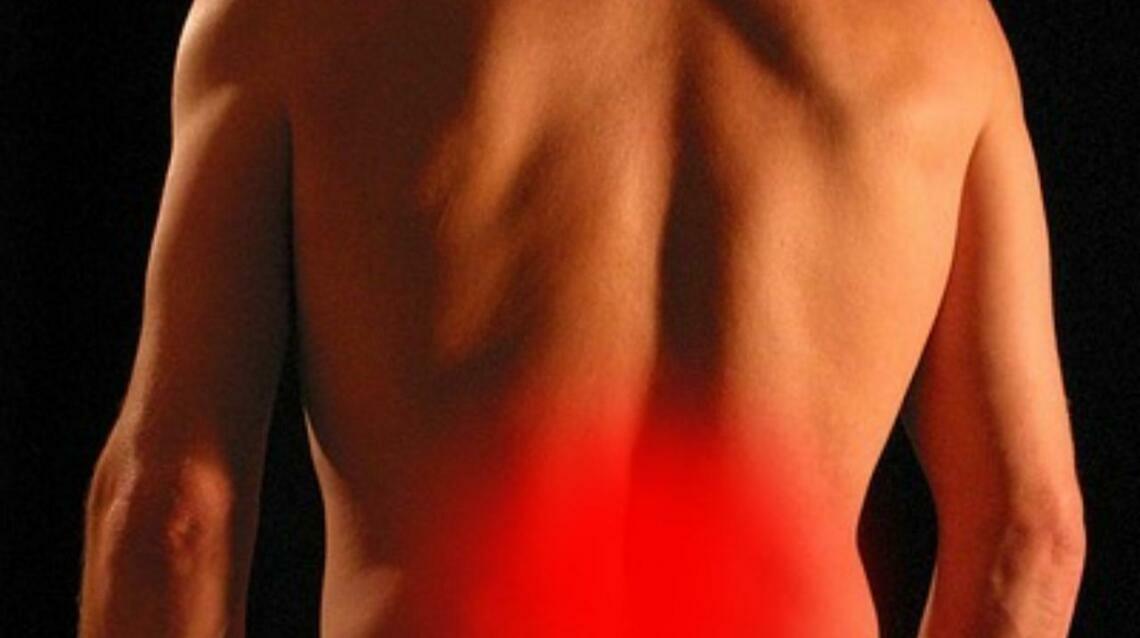 The Pain Was in My Leg - the Problem Was in My Back: What Chronic Back Pain Patients Get Wrong