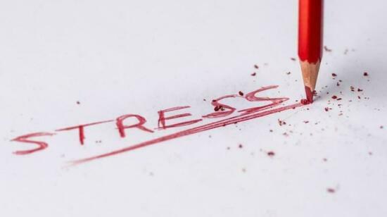 How Stress Affects Your Mind and Body