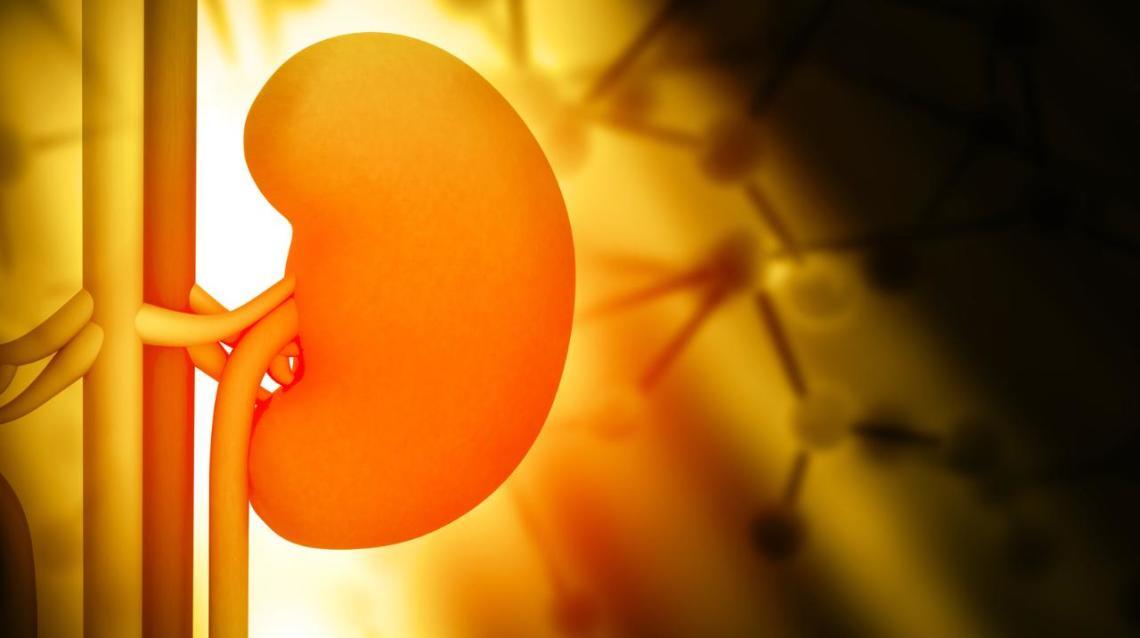 How to Prevent Kidney Diseases ?