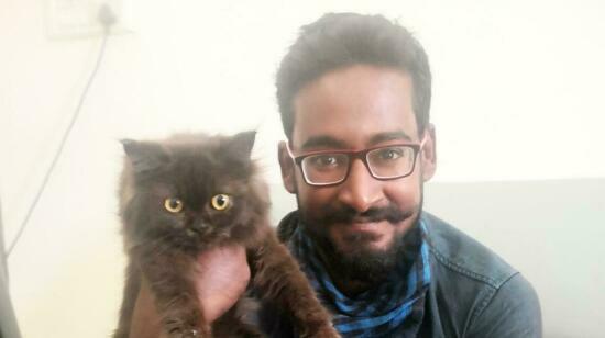 Proven Ways to Show Your Kitty True Love