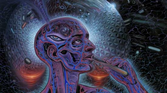 Mind Over Medicine: The Science of Conscious Health