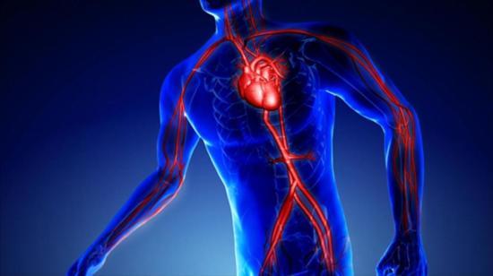 A Brief Introduction to Vascular and Endovascular Surgery