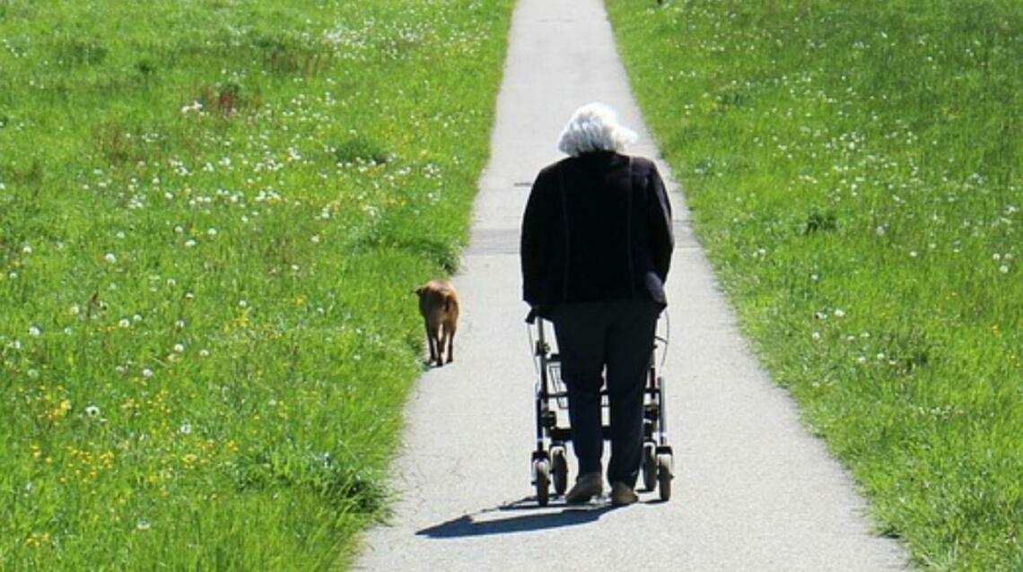 How to Use a Walking Frame