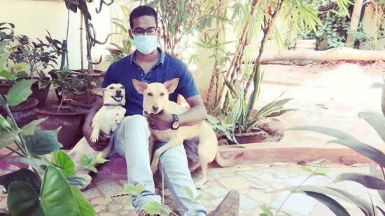 Saving Them, Saving Us: The Unspoken Bond of Adopted Dogs