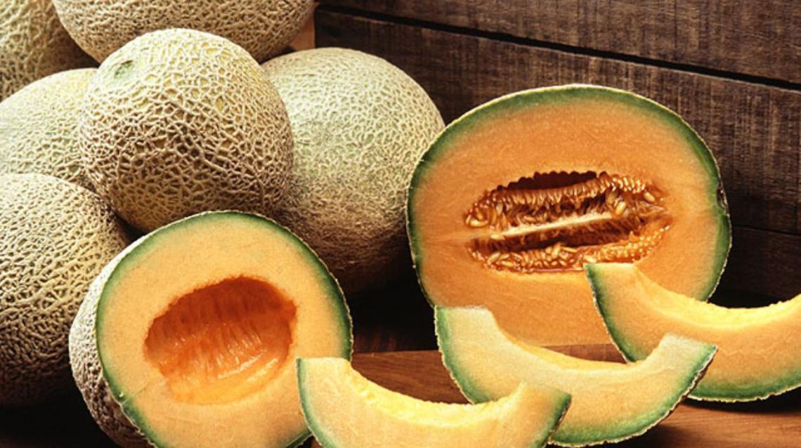 Image result for Muskmelon