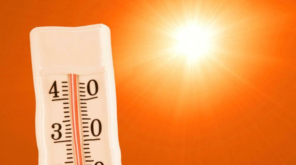 Heat and Dehydration in Children During Summer
