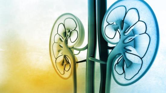 Tips for Preventing Kidney Diseases