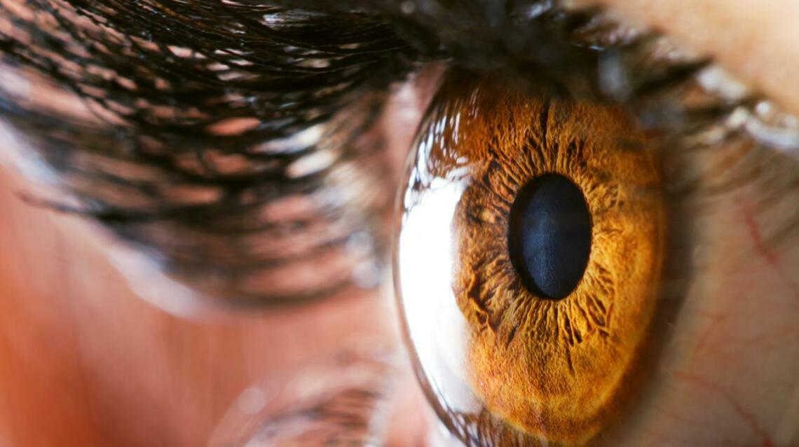 7 Tips to Prevent Diabetic Eye Disease and Maintain Good Eye Health