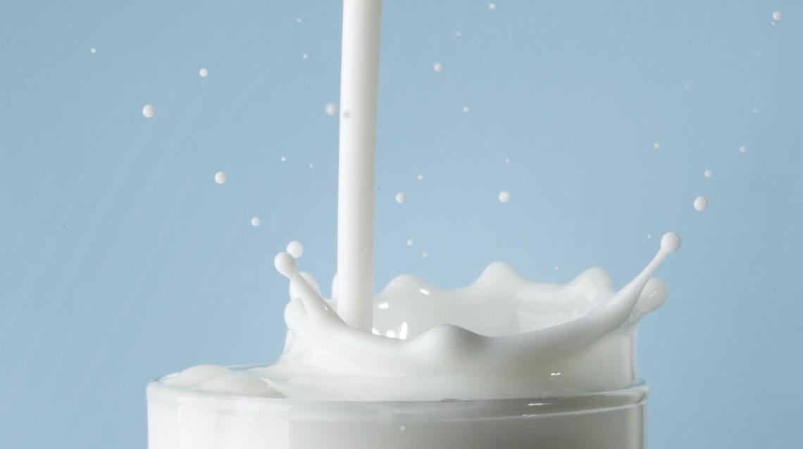Is Milk Harmful for Your Health?