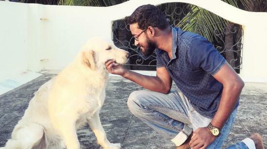 Mastering Advanced Canine Communication