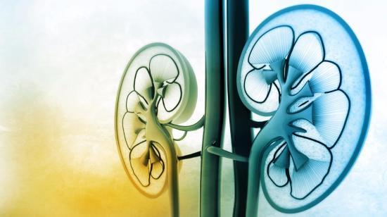 Early Warning Signs Your Kidneys Aren't Functioning