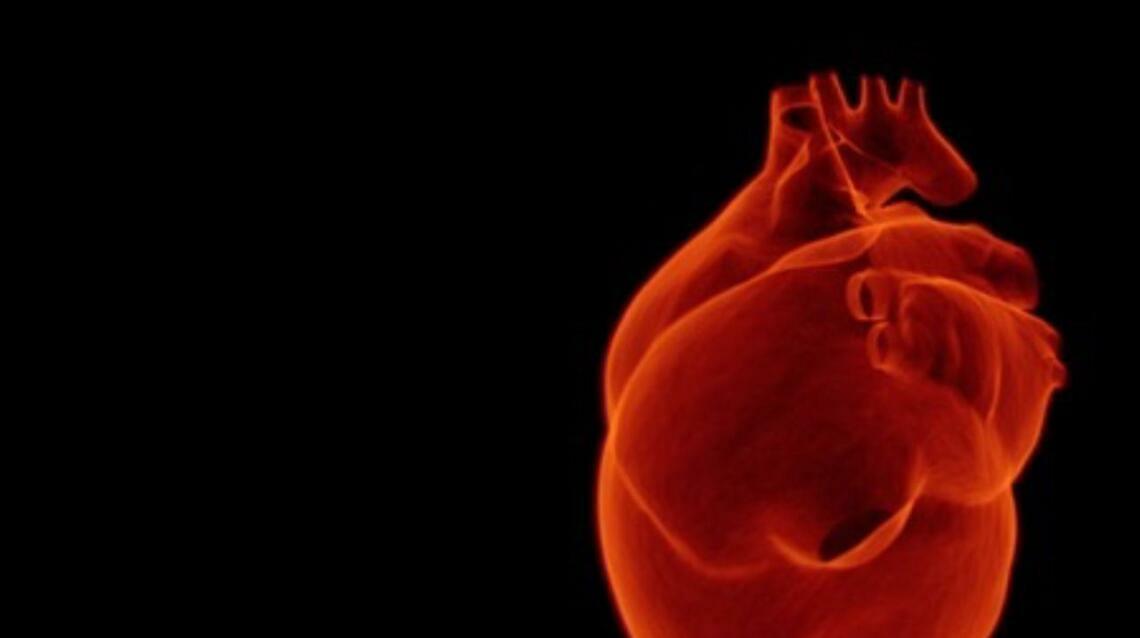 Can Coronary Artery Disease Be Reversed?can Coronary Artery Disease (Cad) Be Reversed?