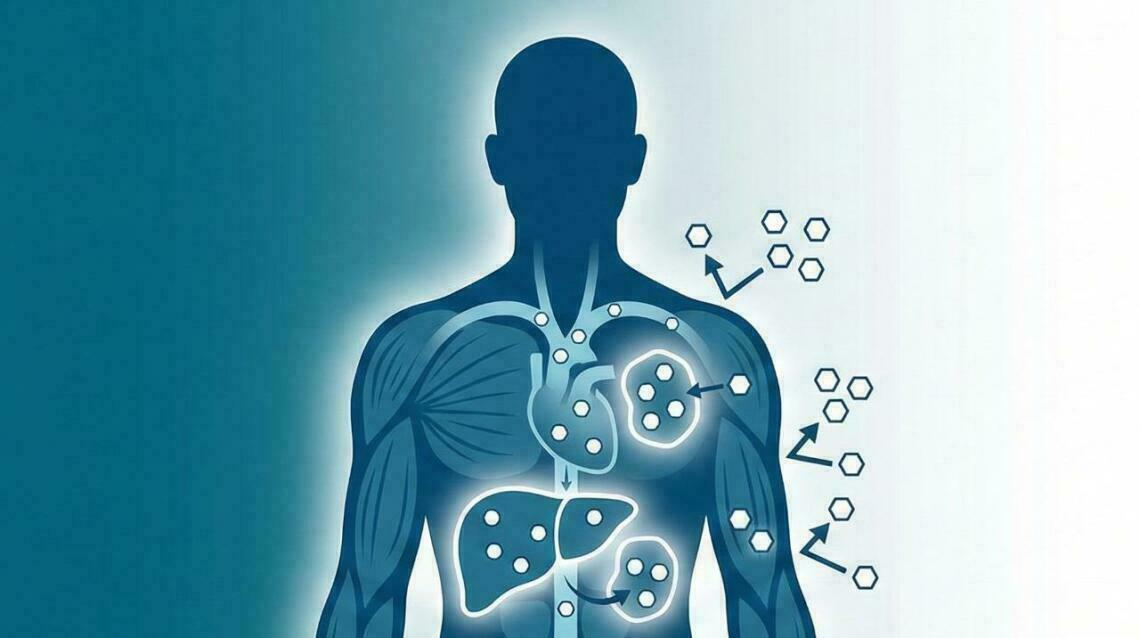 Insulin Resistance Without Diabetes: The Early Metabolic Warning Many People Miss