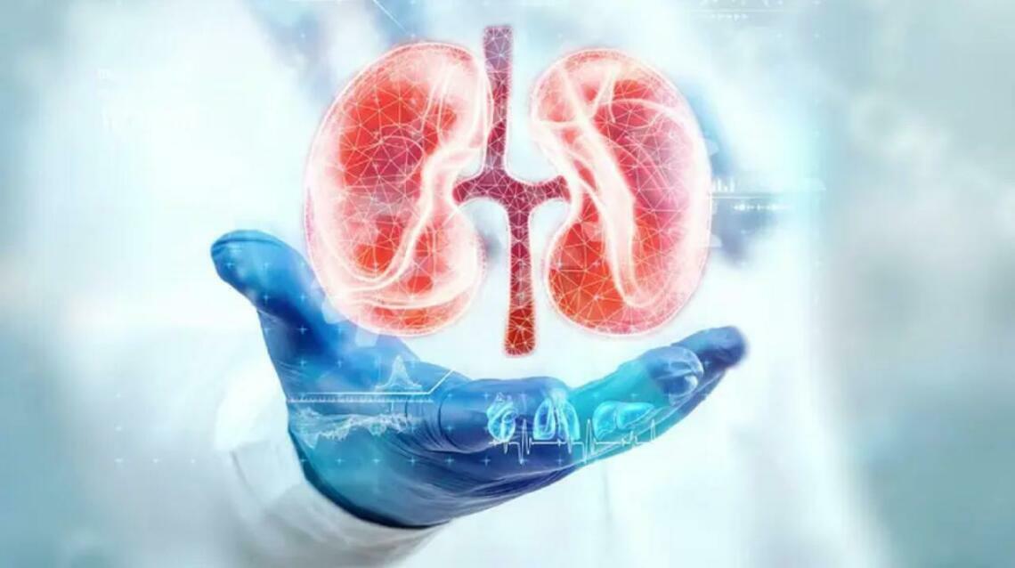 10 Important Kidney Care Tips From Urologist