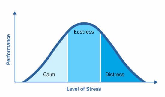 HOW STRESS AFFECTS OUR PERFORMANCE