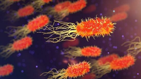 Sepsis: Early Recognition and Modern Management