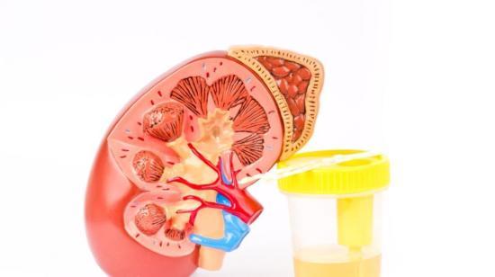 Preventing Diabetic Kidney Disease