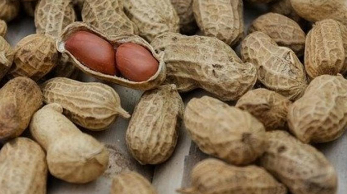 Can I Be Friends With Peanuts,cheap Nut & Otherwise Rich?