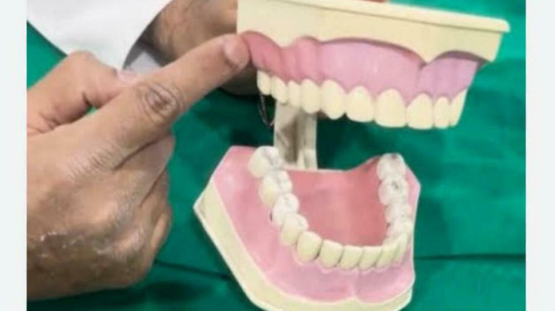 How to Do Gum Massage and Its Importance