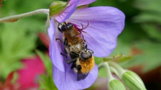 Sexual Dysfunction: Myths vs Facts