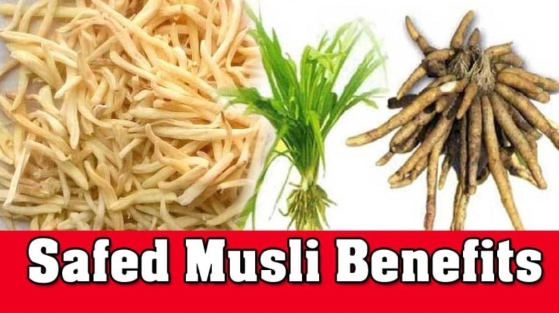 Safed Musli An Underrated Herb You Never Knew About