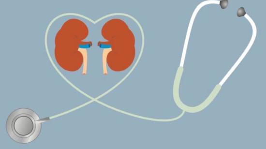 Excess Phosphorous Causes Chronic Kidney Diseases
