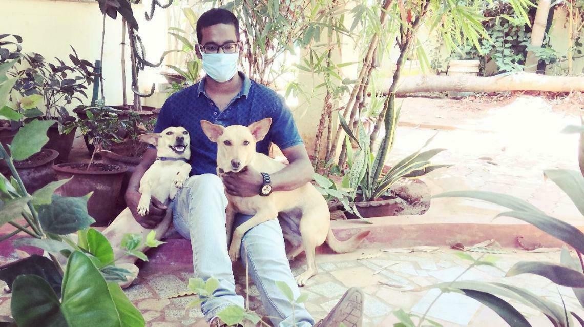 Saving Them, Saving Us: The Unspoken Bond of Adopted Dogs