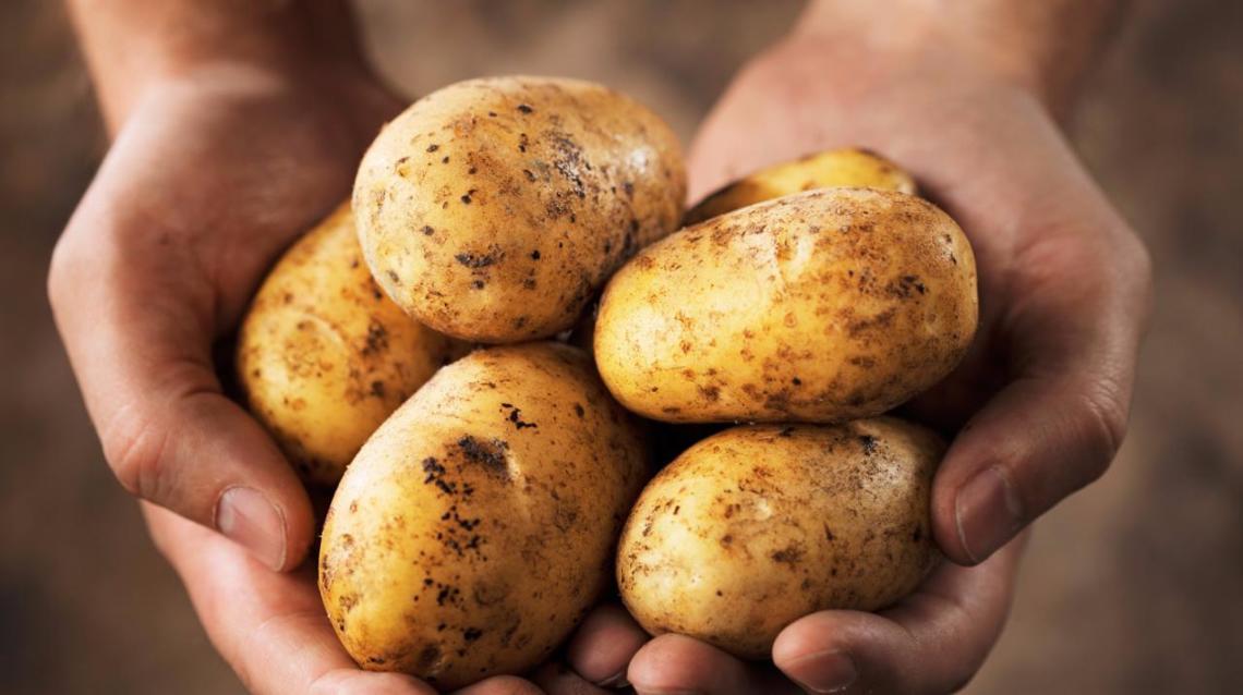 Are Potatoes Healthy?