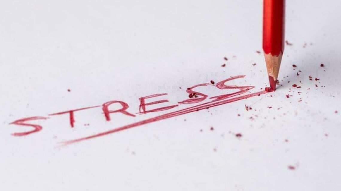 How Stress Affects Your Mind and Body